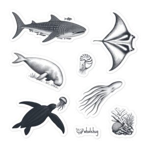 marine biology sticker sheet field notes sketches whale shark manta ray turtle whalehug