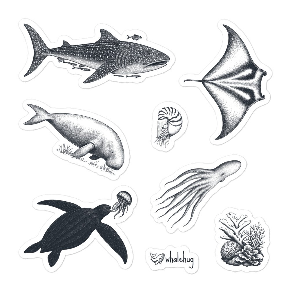 marine biology sticker sheet field notes sketches whale shark manta ray turtle whalehug
