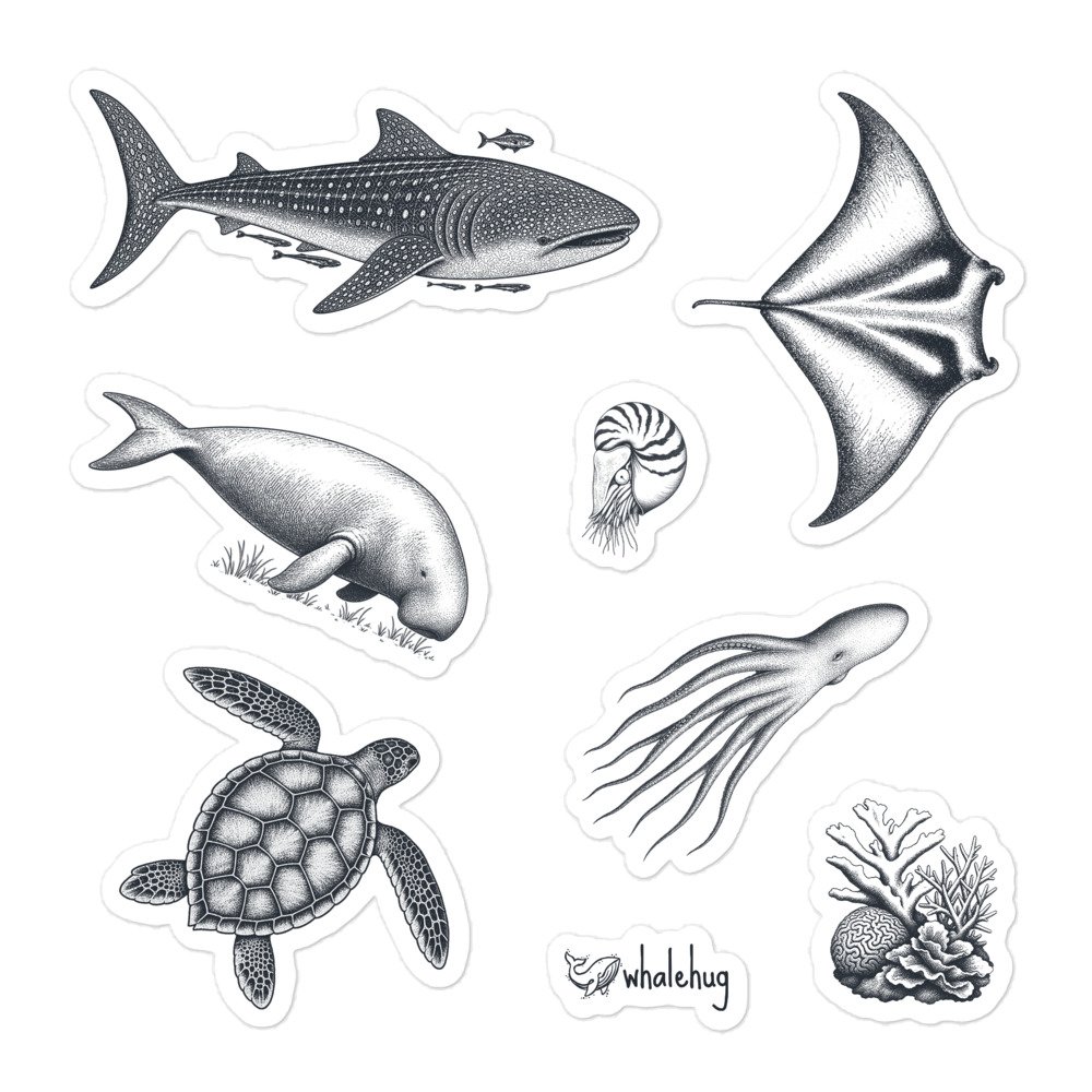 marine biology sticker sheet field notes sketches whale shark manta ray turtle whalehug