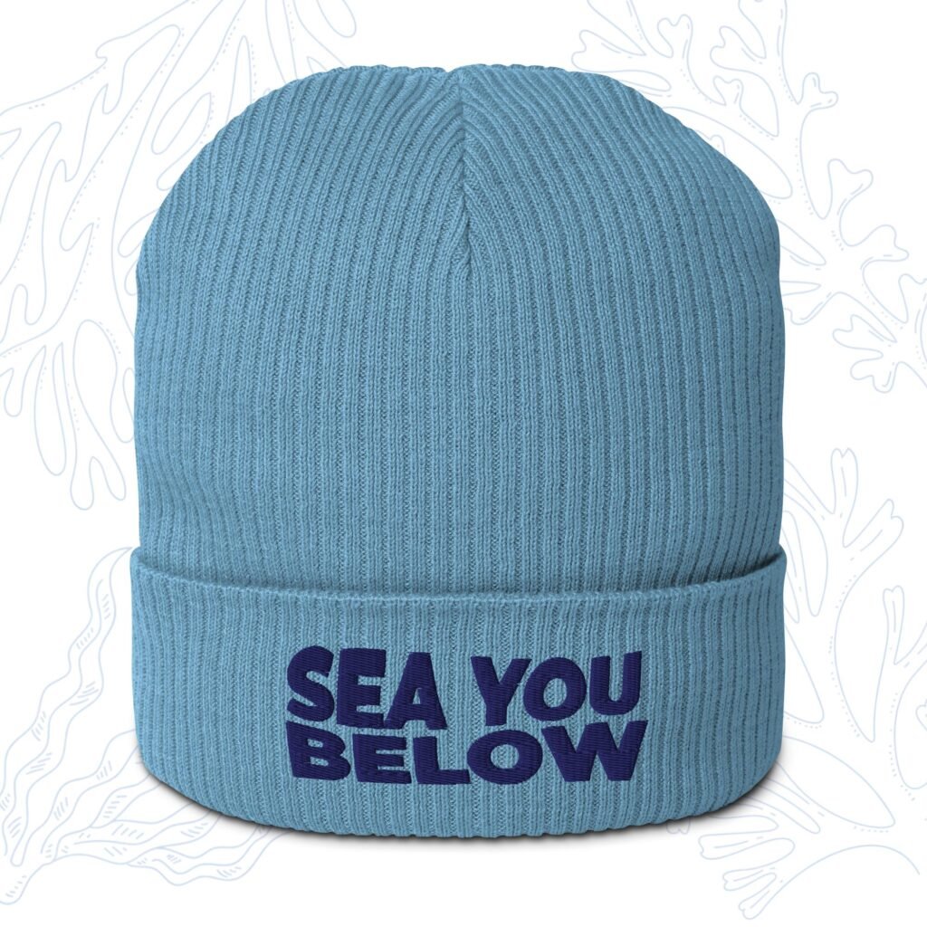 sea you below organic diver beanie in light avio blue with embroidered cuff whalehug