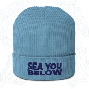 sea you below organic diver beanie in light avio blue with embroidered cuff whalehug