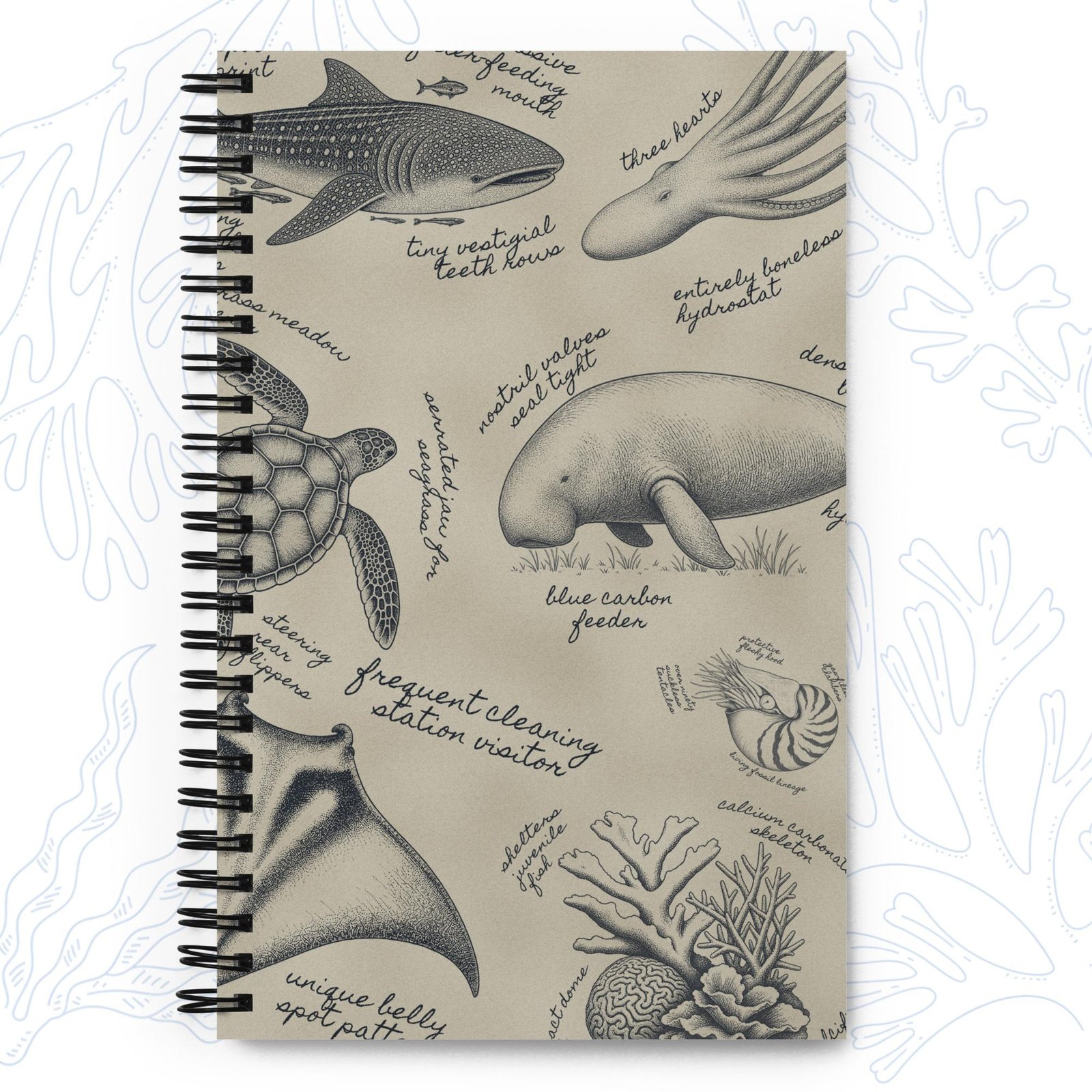 marine biology notebook field notes front cover sketches whalehug